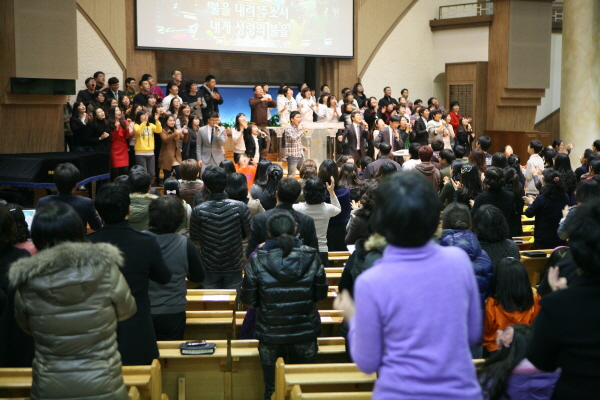 IMG_5590.jpg
